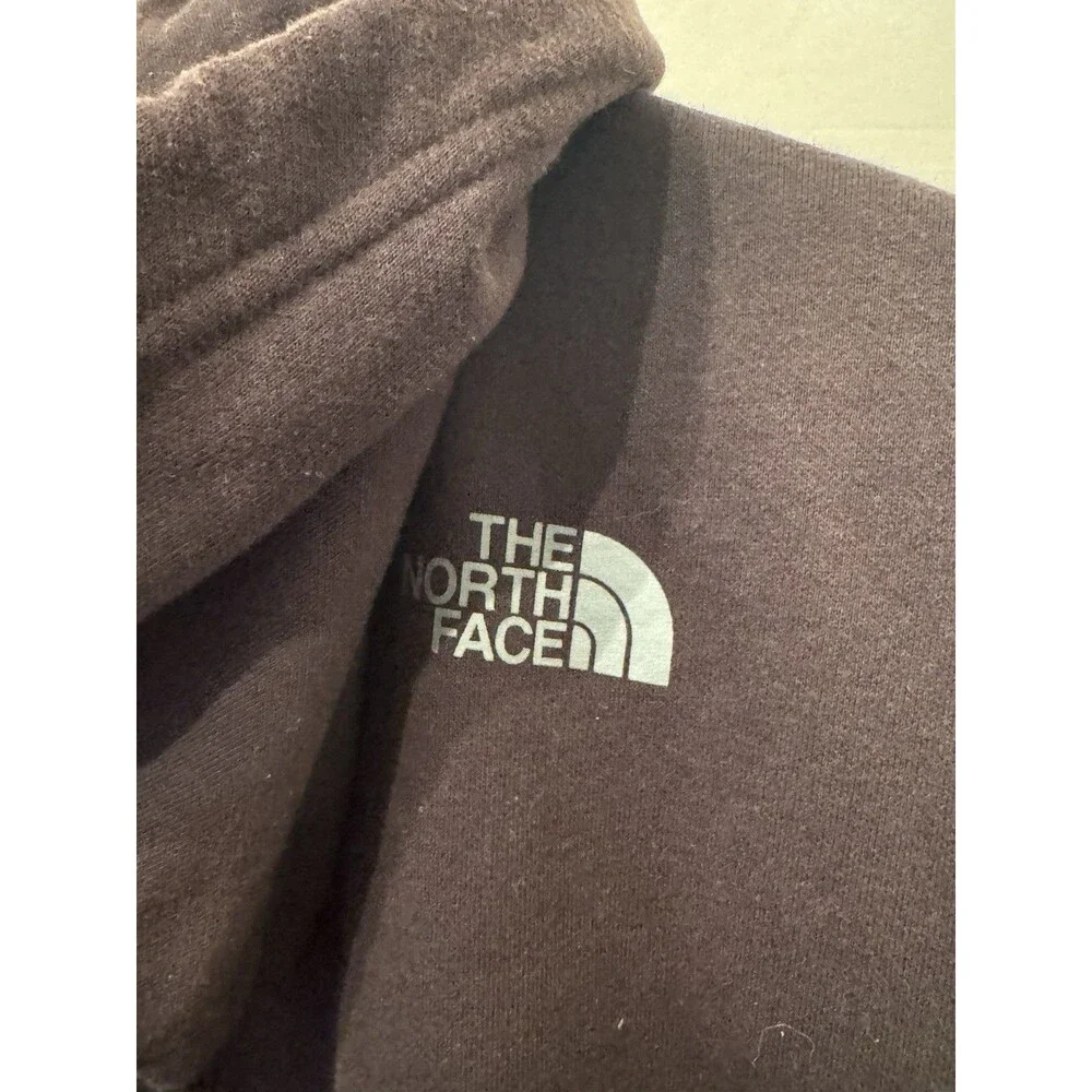 The North Face Circular Design Graphic Logo Fleece Pullover Hoodie Men’s M